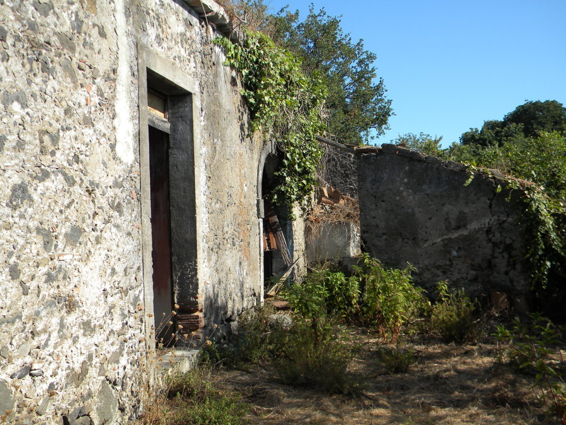 DSCN8119 .JPG